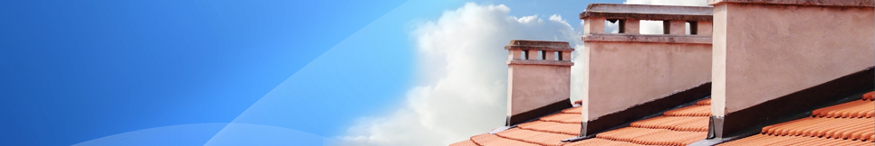 Banner - Werner Mense